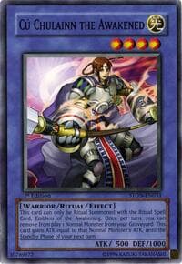 Cu Chulainn the Awakened: Strike of Neos