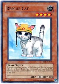 Rescue Cat: Dark Revelation Volume 3