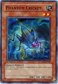 Phantom Cricket: Tactical Evolution