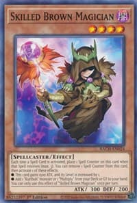 Skilled Brown Magician: Battle of Chaos