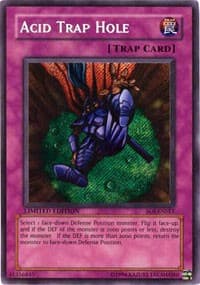 Acid Trap Hole: Shadow of Infinity