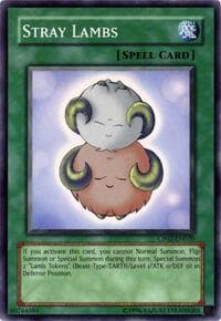 Stray Lambs: Champion Pack 2