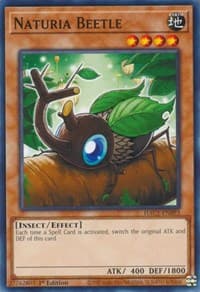 Naturia Beetle: Hidden Arsenal: Chapter 1