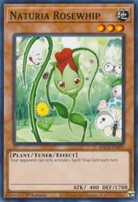 Naturia Rosewhip: Hidden Arsenal: Chapter 1