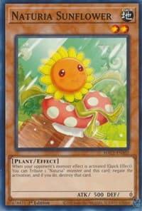 Naturia Sunflower: Hidden Arsenal: Chapter 1