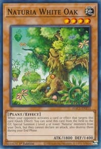 Naturia White Oak: Hidden Arsenal: Chapter 1