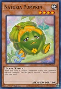 Naturia Pumpkin: Hidden Arsenal: Chapter 1