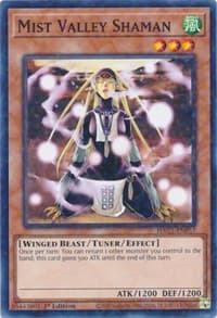 Mist Valley Shaman (Duel Terminal): Hidden Arsenal: Chapter 1