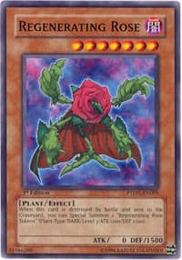 Regenerating Rose: Phantom Darkness