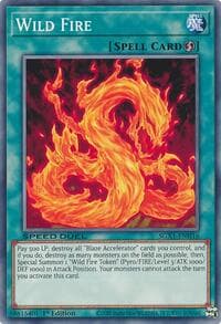 Wild Fire: Speed Duel GX: Duel Academy Box