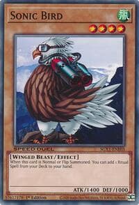 Sonic Bird: Speed Duel GX: Duel Academy Box