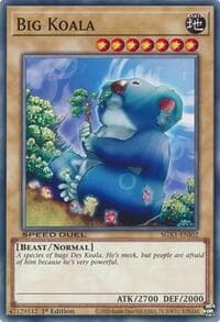 Big Koala: Speed Duel GX: Duel Academy Box