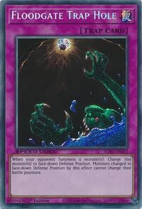 Floodgate Trap Hole (Secret Rare): Speed Duel GX: Duel Academy Box