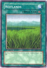Wetlands: Light of Destruction