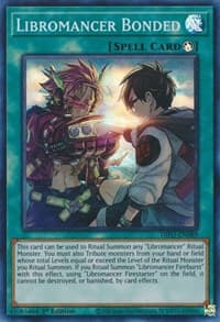 Libromancer Bonded: Dimension Force