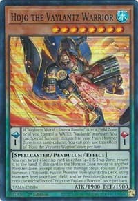 Hojo the Vaylantz Warrior: Tactical Masters