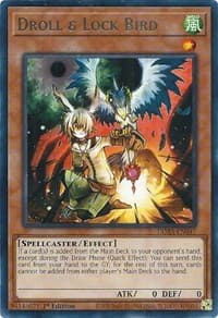 Droll & Lock Bird: Tactical Masters