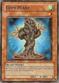 Copy Plant: Crossroads of Chaos