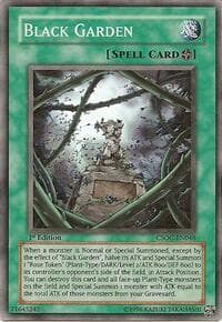 Black Garden: Crossroads of Chaos
