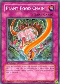 Plant Food Chain: Crossroads of Chaos