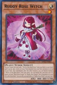 Ruddy Rose Witch: 2022 Tin of the Pharaoh's Gods