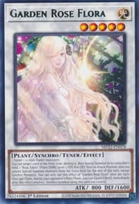 Garden Rose Flora: 2022 Tin of the Pharaoh's Gods