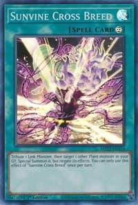 Sunvine Cross Breed: 2022 Tin of the Pharaoh's Gods
