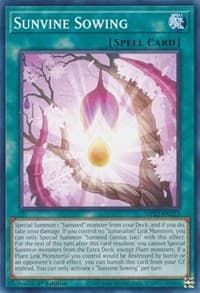 Sunvine Sowing: 2022 Tin of the Pharaoh's Gods