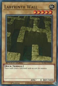 Labyrinth Wall: Speed Duel GX: Midterm Paradox