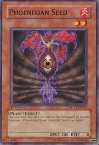 Phoenixian Seed: Raging Battle