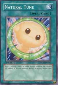 Natural Tune: Raging Battle