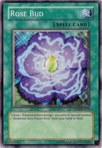 Rose Bud: Premium Pack 2