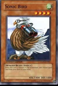Sonic Bird: Gold Series 2008