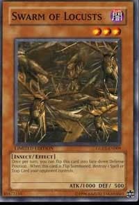 Swarm of Locusts: Gold Series 2008