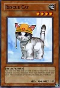 Rescue Cat: Champion Pack 5
