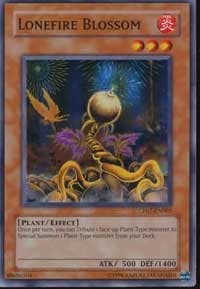 Lonefire Blossom: Champion Pack 7