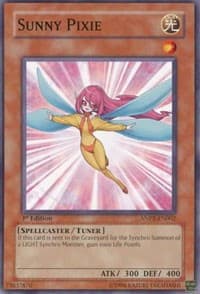 Sunny Pixie: Ancient Prophecy