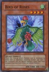 Bird of Roses: The Shining Darkness