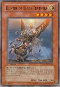 Hunter of Black Feathers: The Shining Darkness