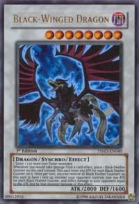 Black-Winged Dragon: The Shining Darkness