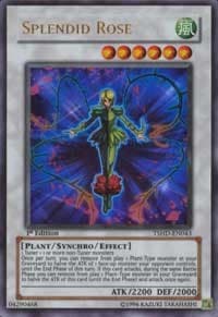 Splendid Rose: The Shining Darkness