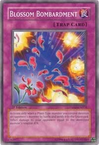 Blossom Bombardment: The Shining Darkness