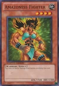 Amazoness Fighter: Gold Series 3