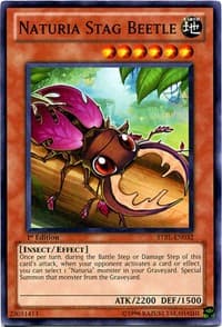 Naturia Stag Beetle: Starstrike Blast