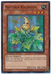 Naturia Ragweed: Hidden Arsenal 4