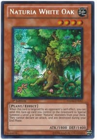 Naturia White Oak: Hidden Arsenal 4
