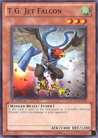 T.G. Jet Falcon: Extreme Victory