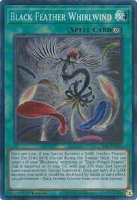 Black Feather Whirlwind: Darkwing Blast