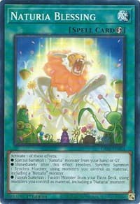 Naturia Blessing: Darkwing Blast