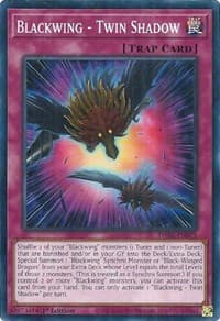 Blackwing - Twin Shadow: Darkwing Blast